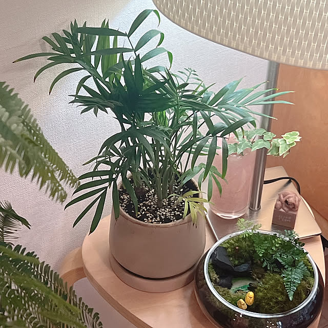 ponme33さんの部屋