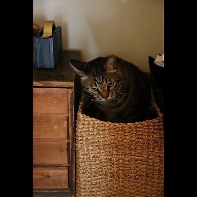 miestiloさんの実例写真