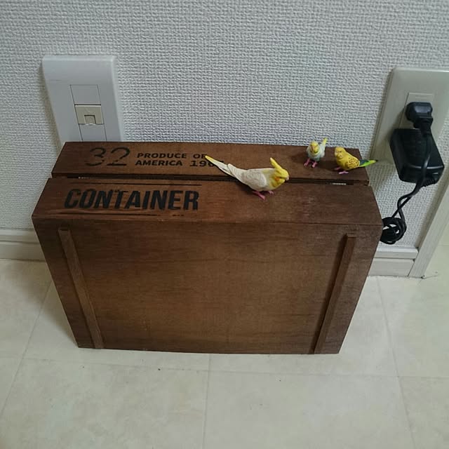callaさんの実例写真