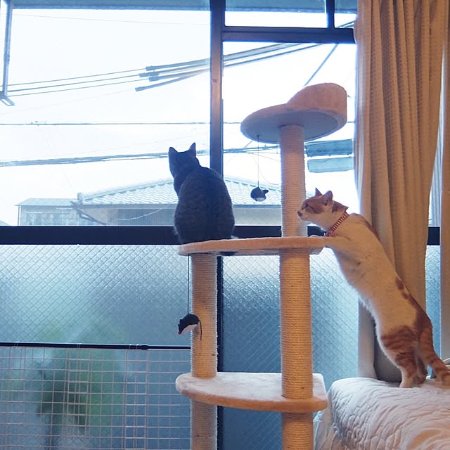 sb_ymhさんの実例写真