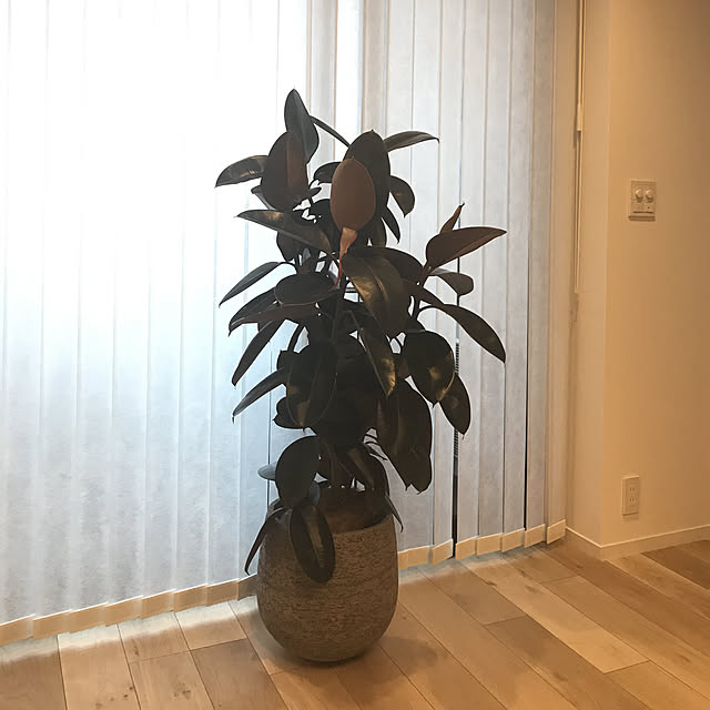 kannaさんの実例写真