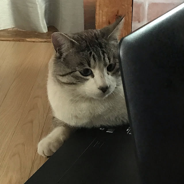 a1600ro1600tamuさんの実例写真