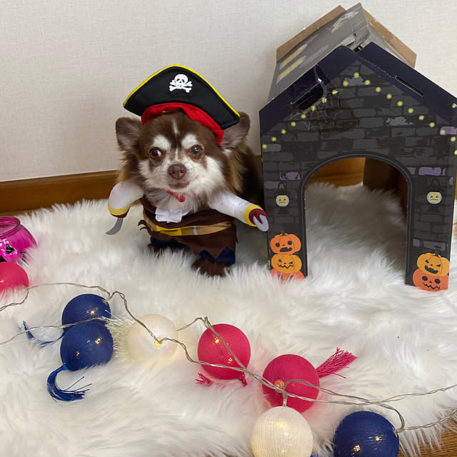 chIoeさんの部屋