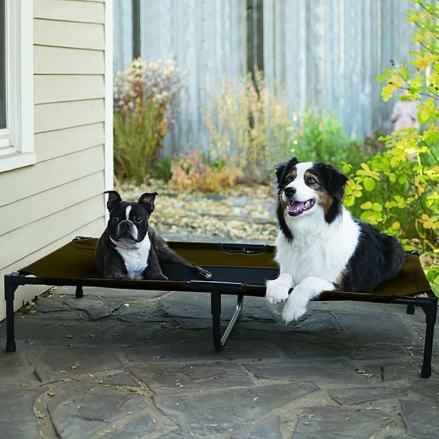 多頭飼いの家/多頭飼い/大型犬と暮らす/大型犬のいる暮らし/大型犬...などのインテリア実例 - 2021-08-11 19:41:46