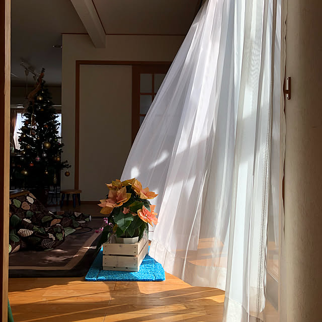 Fuku222さんの実例写真