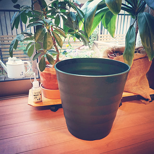 mofukoさんの実例写真