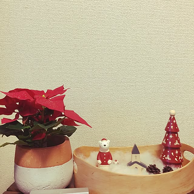 sakuchaさんの実例写真