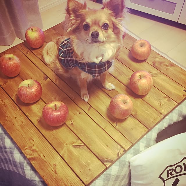 cocoさんの実例写真