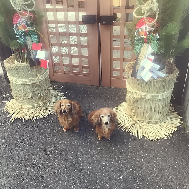 Arisaさんの実例写真