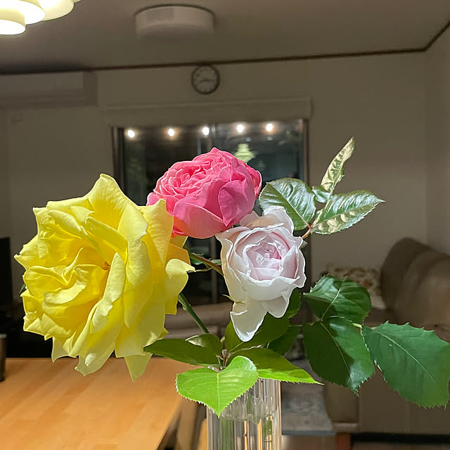aloha1110さんの実例写真