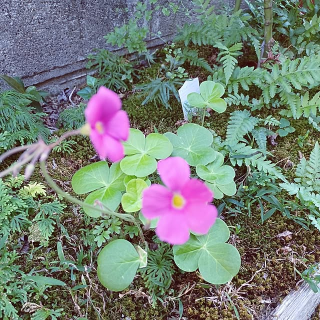 hiro-yさんの実例写真