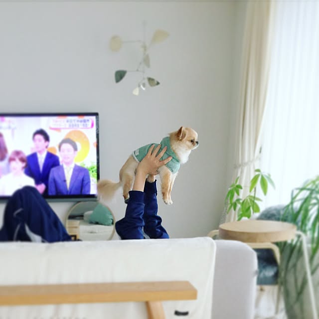 haruhinaさんの実例写真