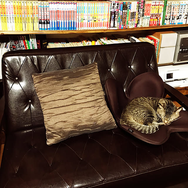 mikan161さんの実例写真