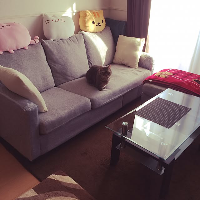 akmx77さんの実例写真