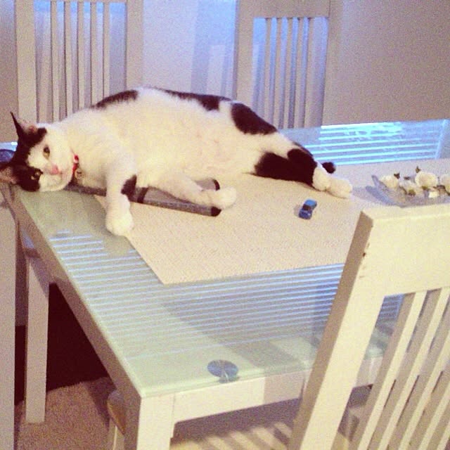 実例写真