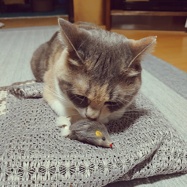 fukuさんの実例写真