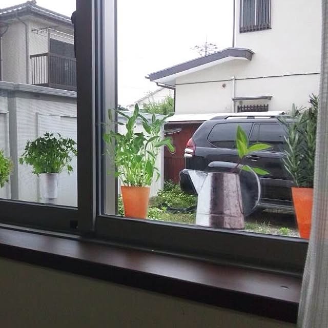 mugiinaさんの実例写真