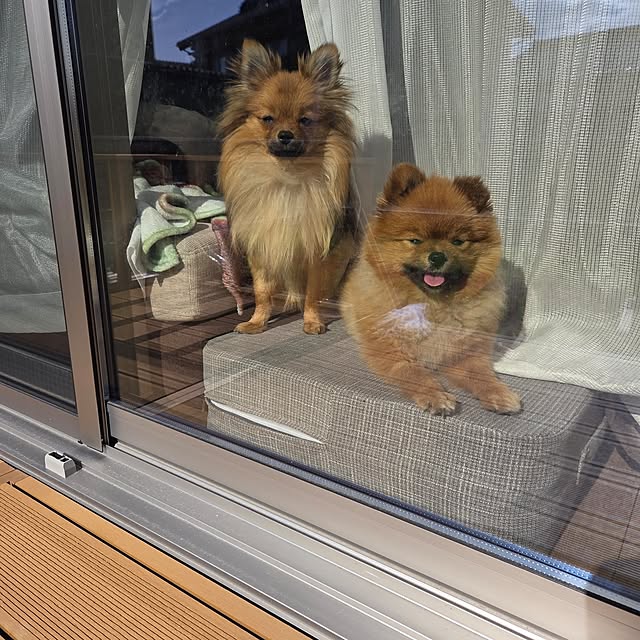 avovo7さんの部屋