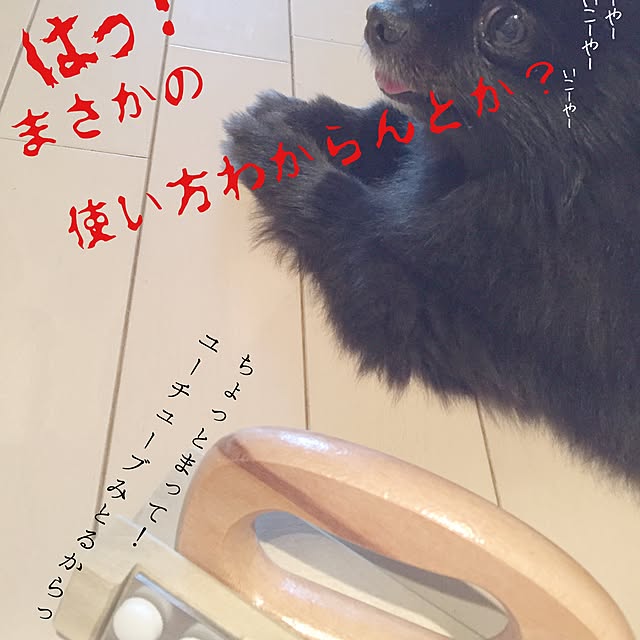 ohanaさんの実例写真