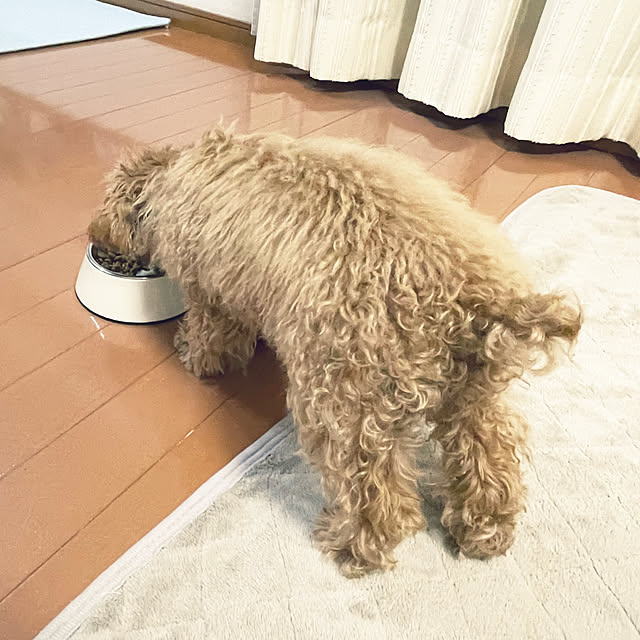 kawauso15さんの部屋