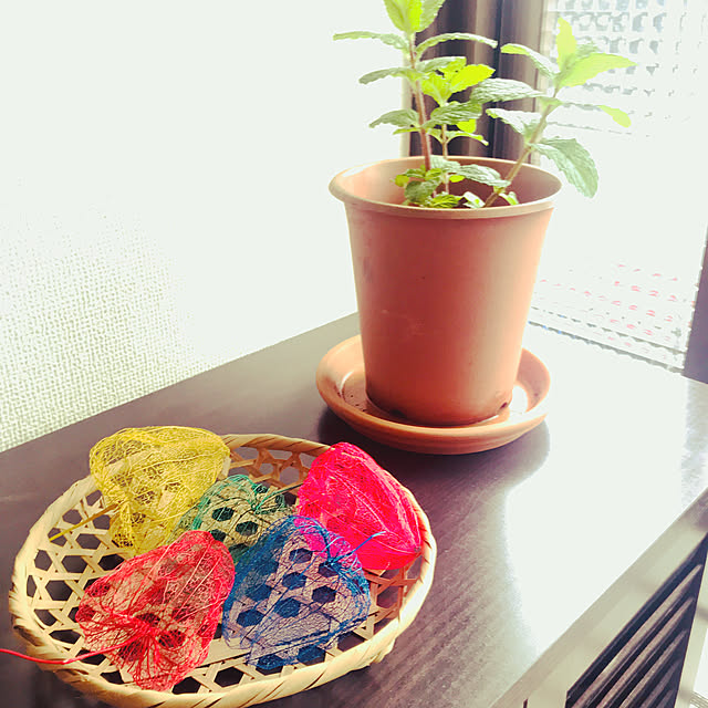 sanaeさんの実例写真
