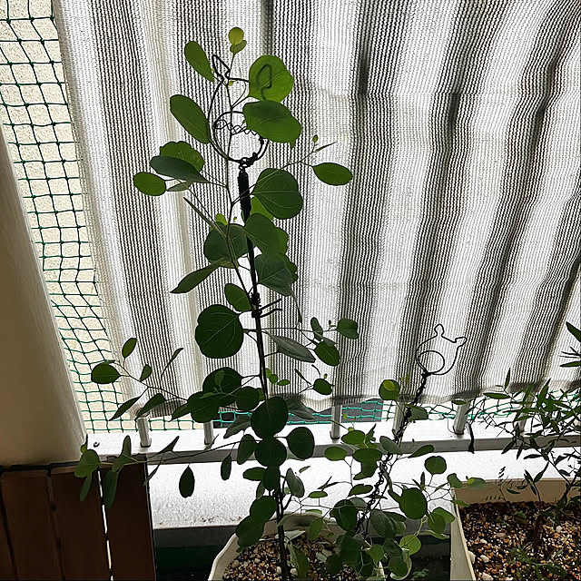 kagomamaさんの部屋