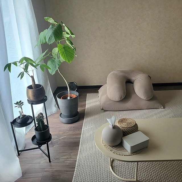 部屋全体/観葉植物/韓国家具/ティッシュケース/IKEA...などのインテリア実例 - 2023-09-11 08:47:14