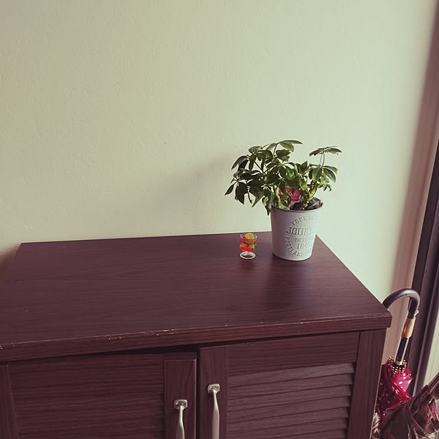 ayuさんの部屋