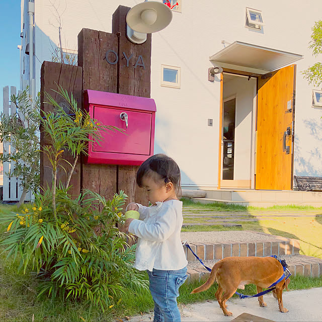 Yukoさんの実例写真