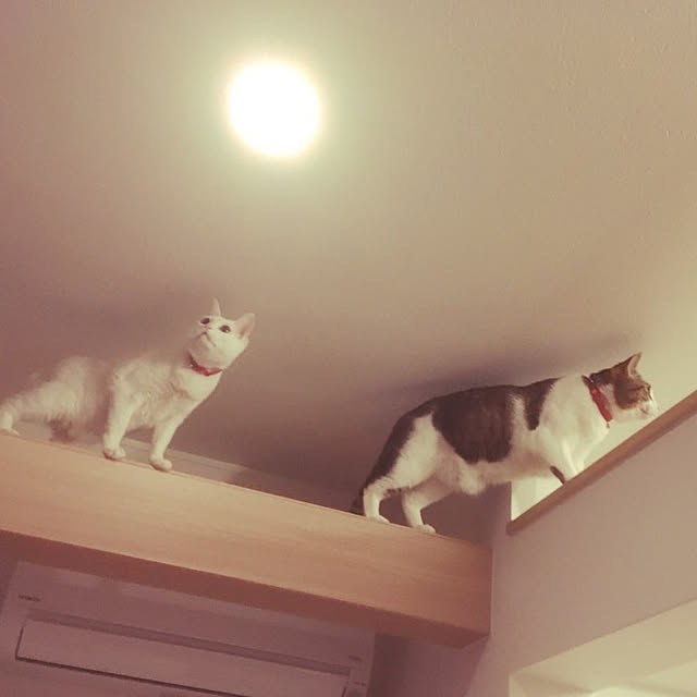 karenさんの実例写真