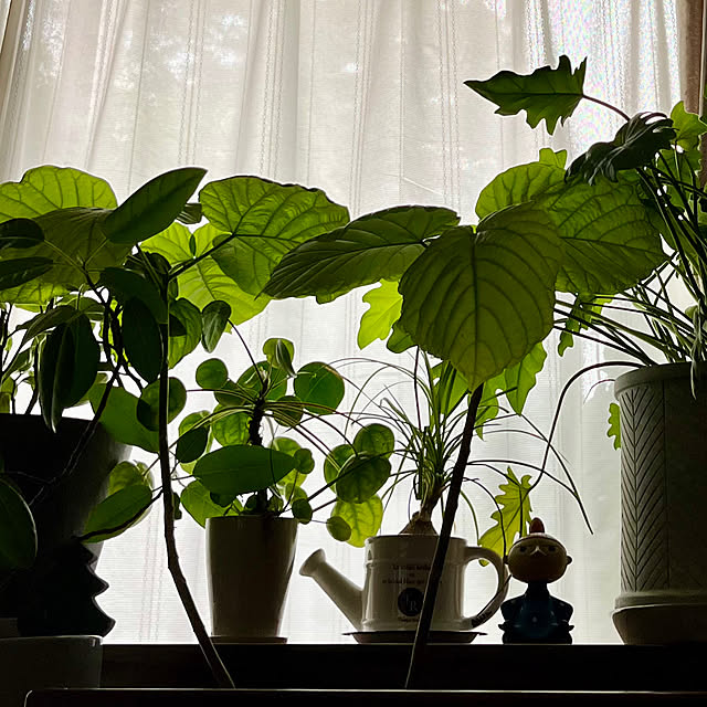 cotaさんの部屋