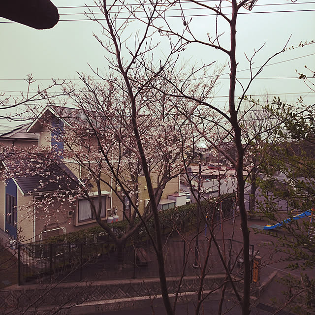 niko2pun2さんの実例写真