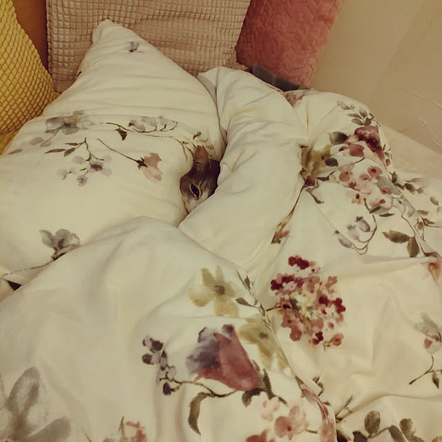 Yoko622さんの実例写真