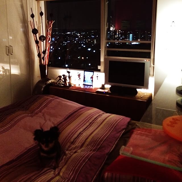 RENRENさんの実例写真