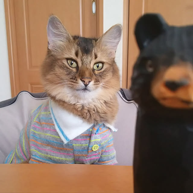 yuri.sさんの実例写真