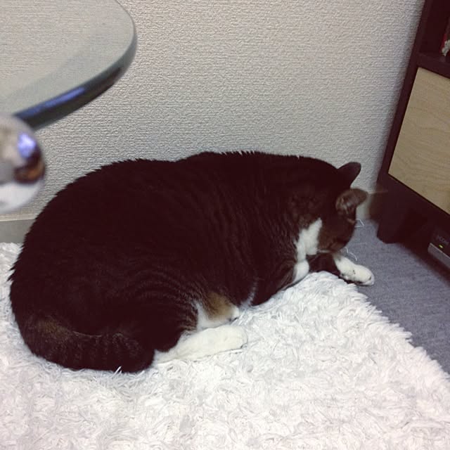 piyopicoさんの実例写真