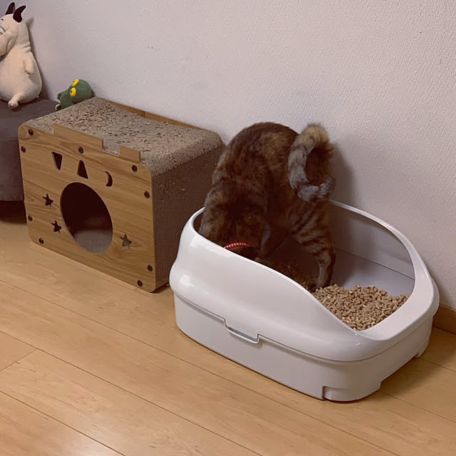 chiiさんの実例写真