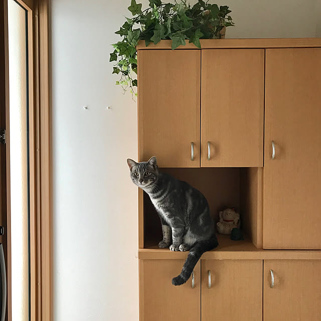 yuzukoさんの実例写真
