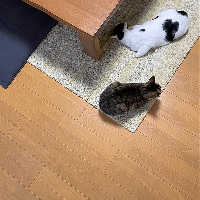 nobikoさんの実例写真