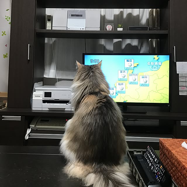 momongaさんの実例写真