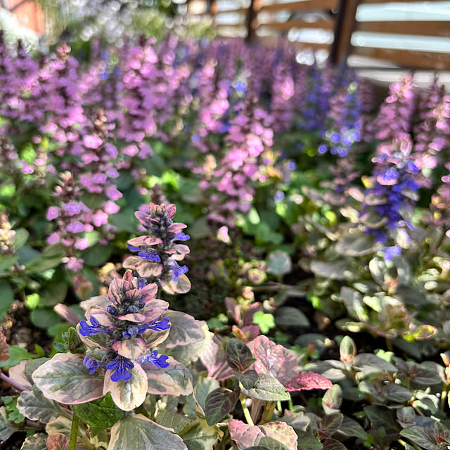 kyoko1124koさんの部屋