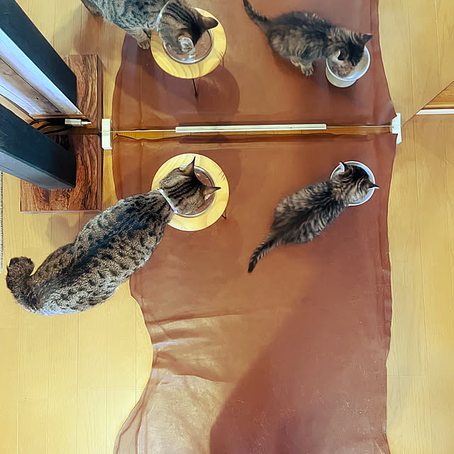 Mさんの実例写真