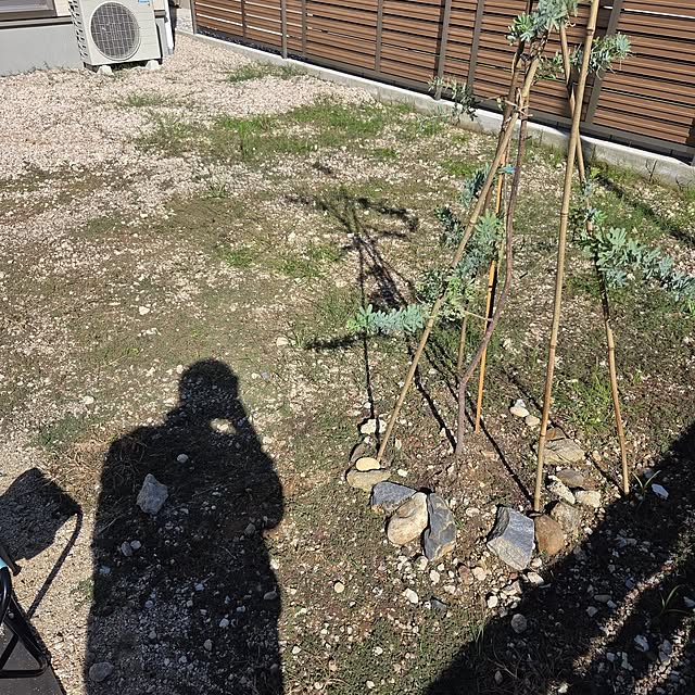 avovo7さんの実例写真