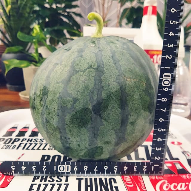 NAOKIさんの実例写真