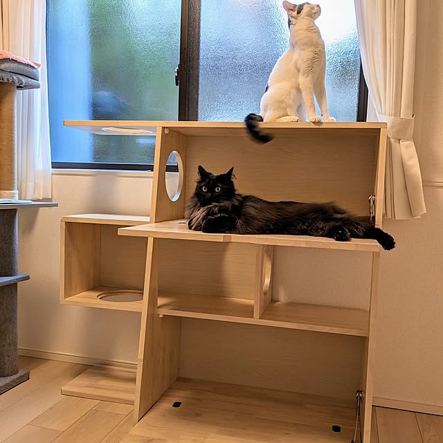 kumiさんの部屋