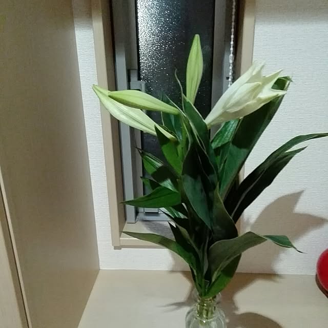 Lovelyさんの実例写真