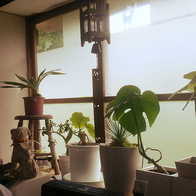 SYOUGUNさんの実例写真