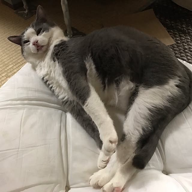 mucc08さんの実例写真