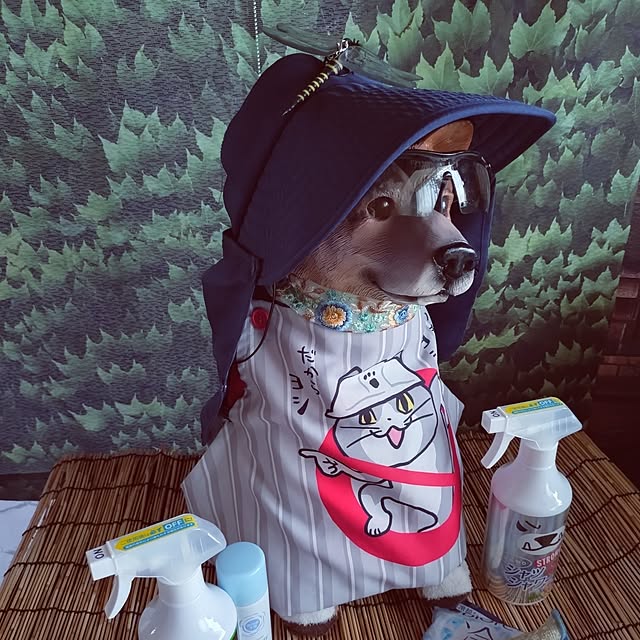 NOAHさんの部屋