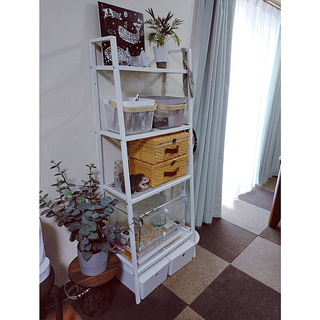 akanegumoさんの実例写真
